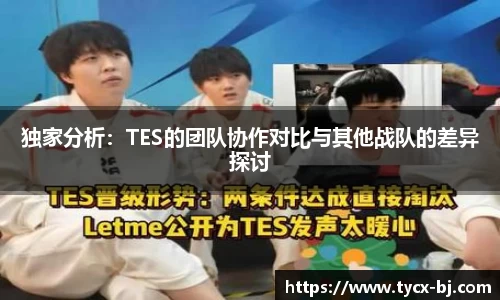 独家分析：TES的团队协作对比与其他战队的差异探讨